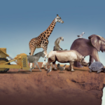 Declaran extintas a 44 especies en 2025